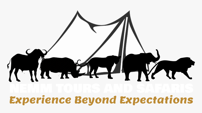 Nemm Tours And Safaris - Indian Elephant, HD Png Download, Free Download
