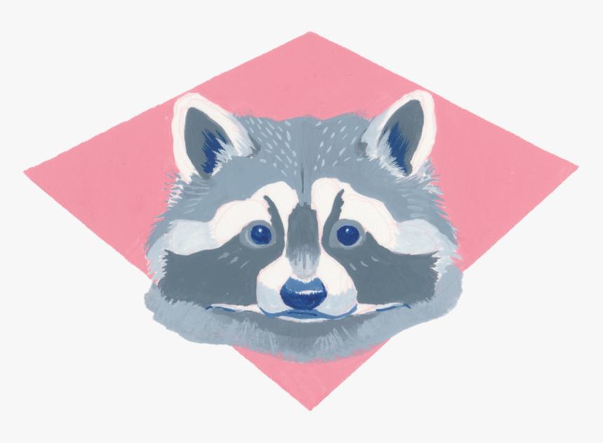 Raccoon Gouache On Paper, HD Png Download, Free Download