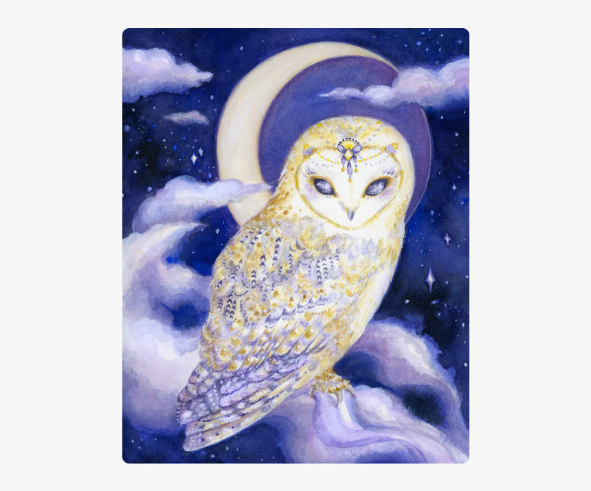 Moon - Barn Owl, HD Png Download, Free Download