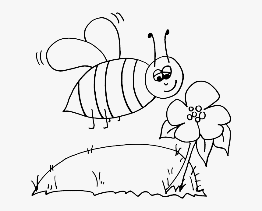 Bumblebee Coloring Page - Clip Art Bee Colouring, HD Png Download, Free Download