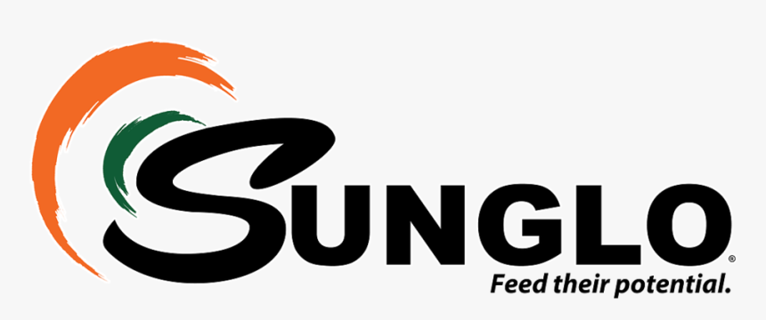 Sunglo Logo Black Outline - Beyond The C++ Standard Library, HD Png Download, Free Download