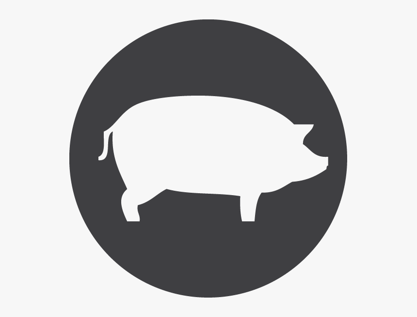 Outline Vector Pig - Pig Icons Png, Transparent Png, Free Download