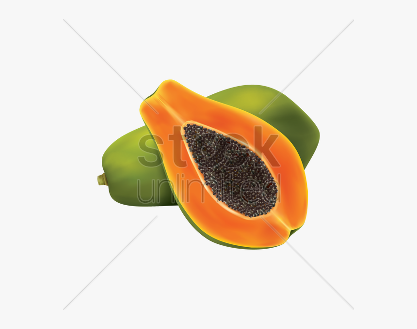 Cross Section Of A Fruit, HD Png Download, Free Download