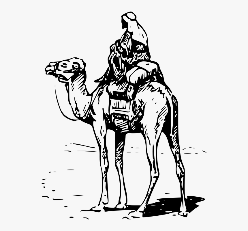 Camel Clip Art, HD Png Download, Free Download