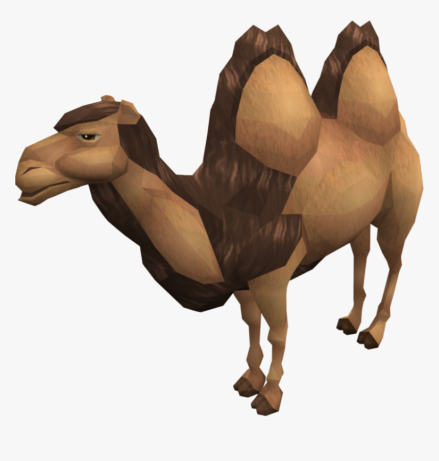 Al The Camel - Runescape Camel, HD Png Download, Free Download