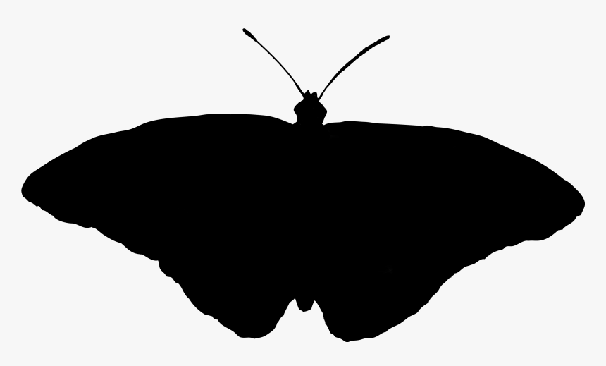 Clip Art Silhouette M - Swallowtail Butterfly, HD Png Download, Free Download