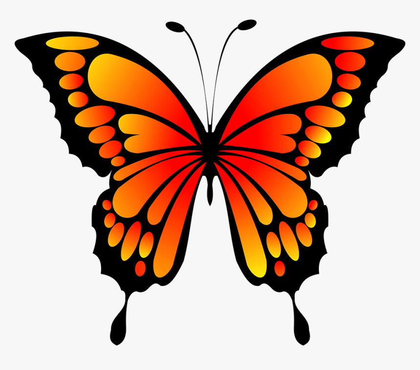 Orange And Black Butterfly Image - Yellow Green Butterfly Clipart, HD Png Download, Free Download
