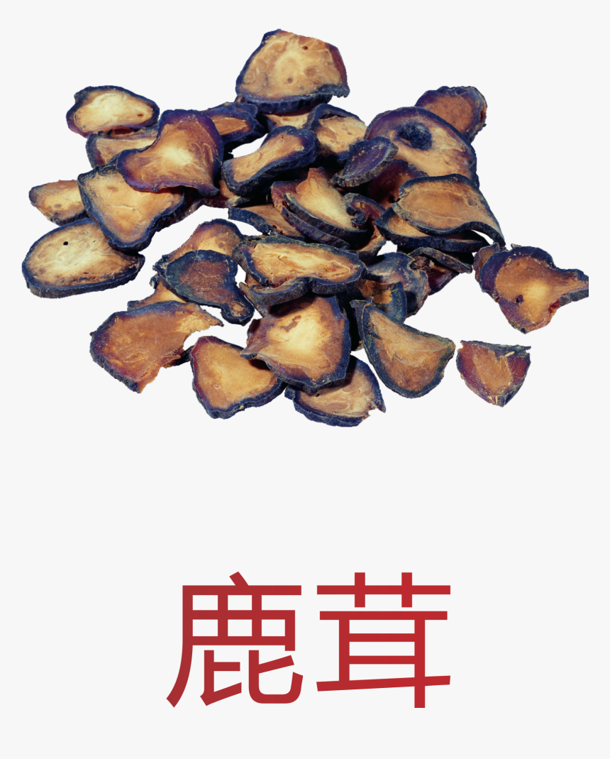Jing Velvet Chinese Herbology Deer Traditional Medicine - 中药 饮片 图片, HD Png Download, Free Download