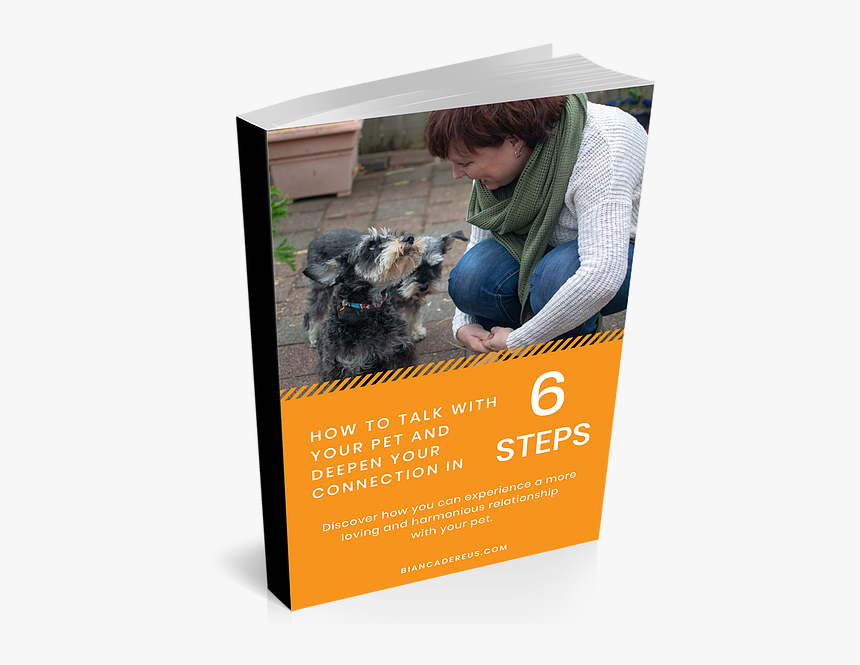 Flyer, HD Png Download, Free Download