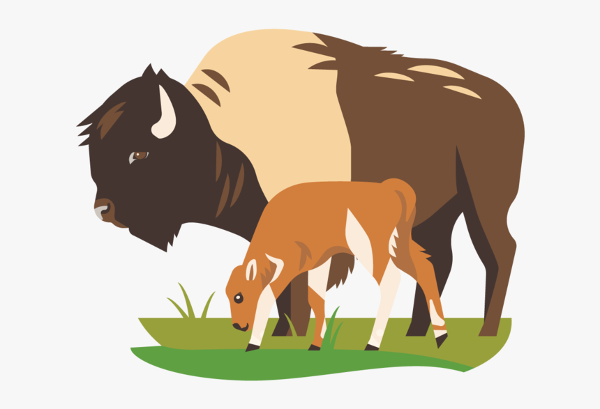 Laurenbeltramo Citizenscienceicons Bison, HD Png Download, Free Download