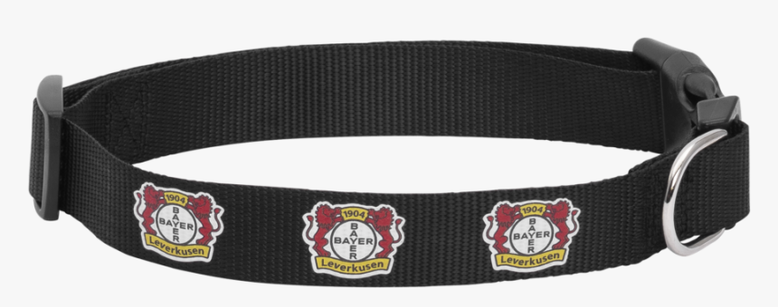 Buckle, HD Png Download, Free Download