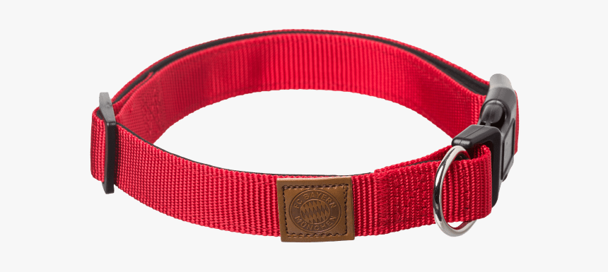 Dog Collar L/xl - Dog Collar, HD Png Download, Free Download