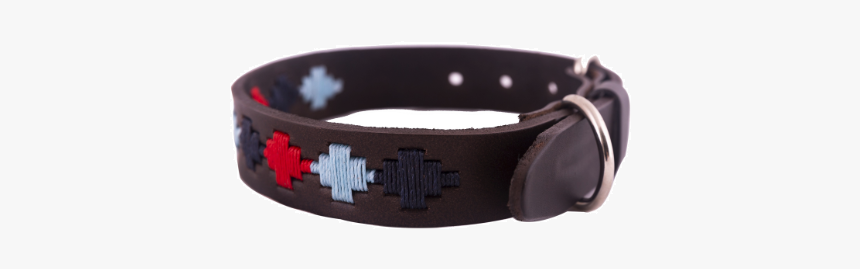 Pet Collar Png, Transparent Png, Free Download