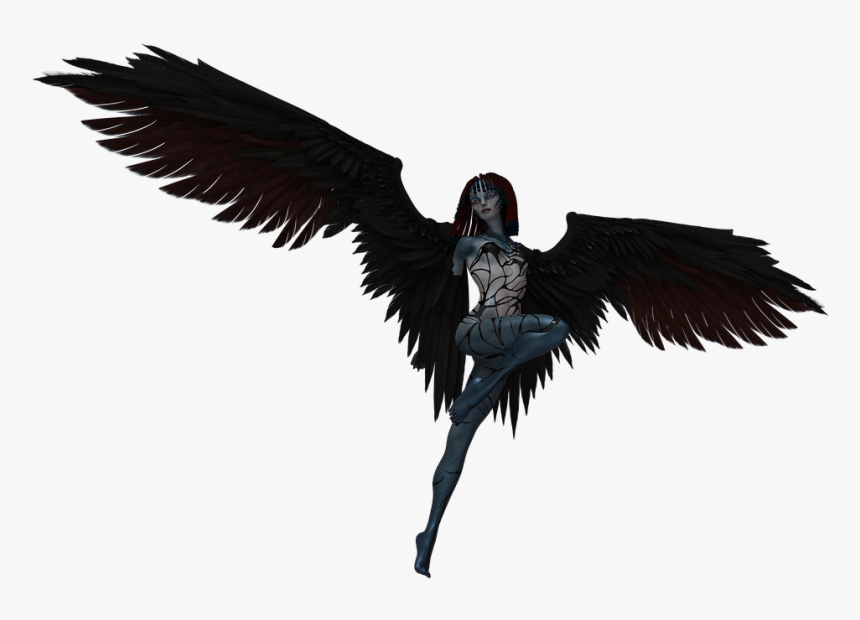 Raven, HD Png Download, Free Download