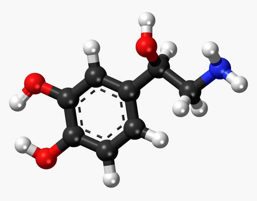 Norepinephrine Ball And Stick Model - Noradrenaline Molecule, HD Png Download, Free Download