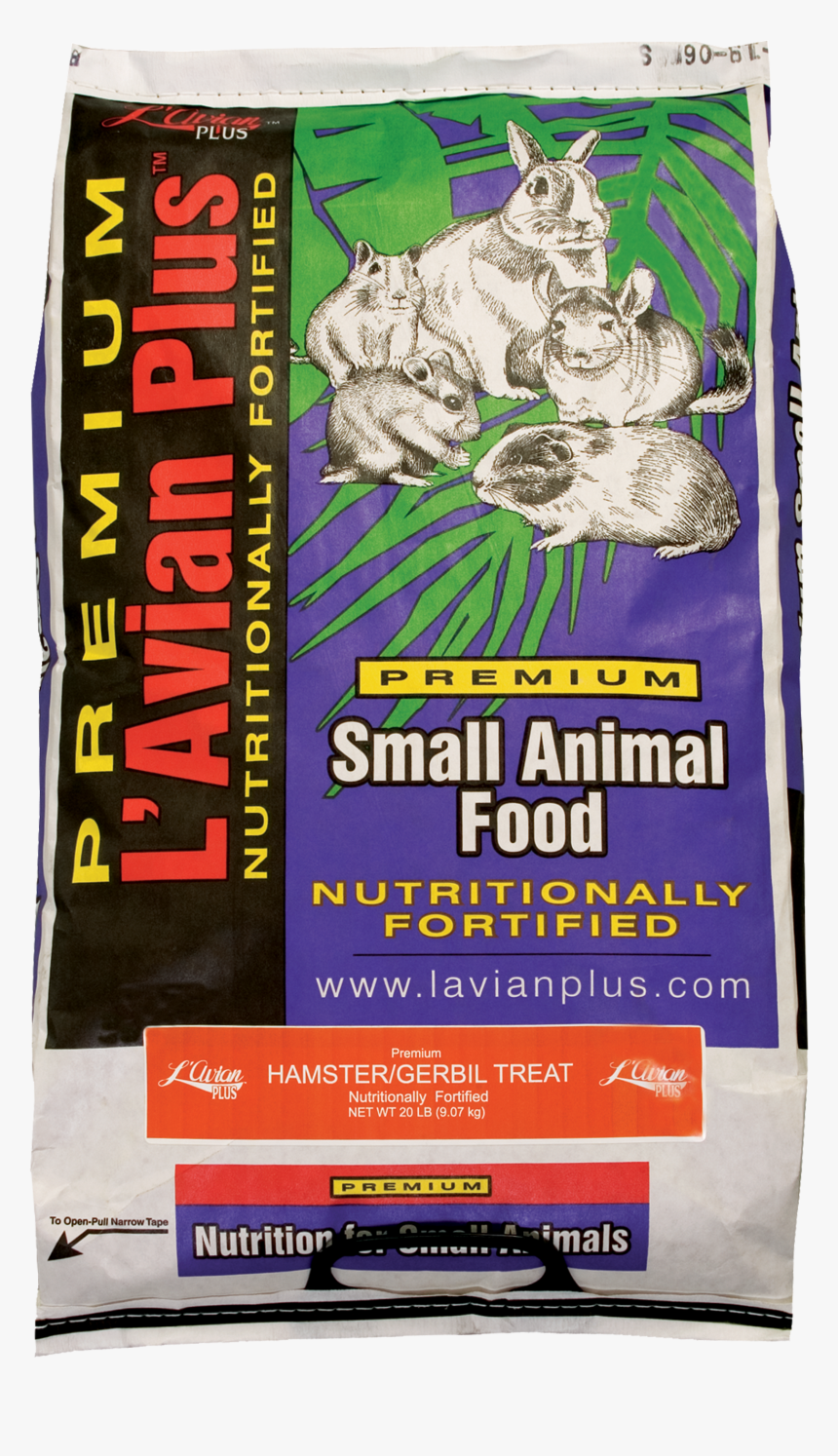 Kitten, HD Png Download, Free Download