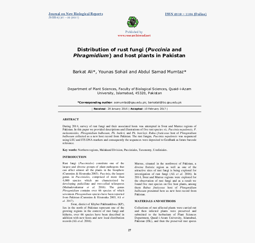 Document, HD Png Download, Free Download