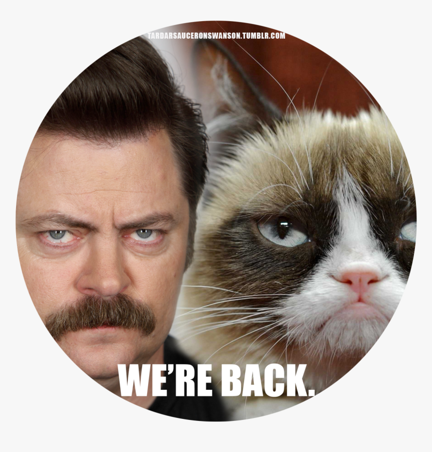 Ron Swanson Grumpy Cat Grumpy Cat The Movie Parks And, HD Png Download, Free Download