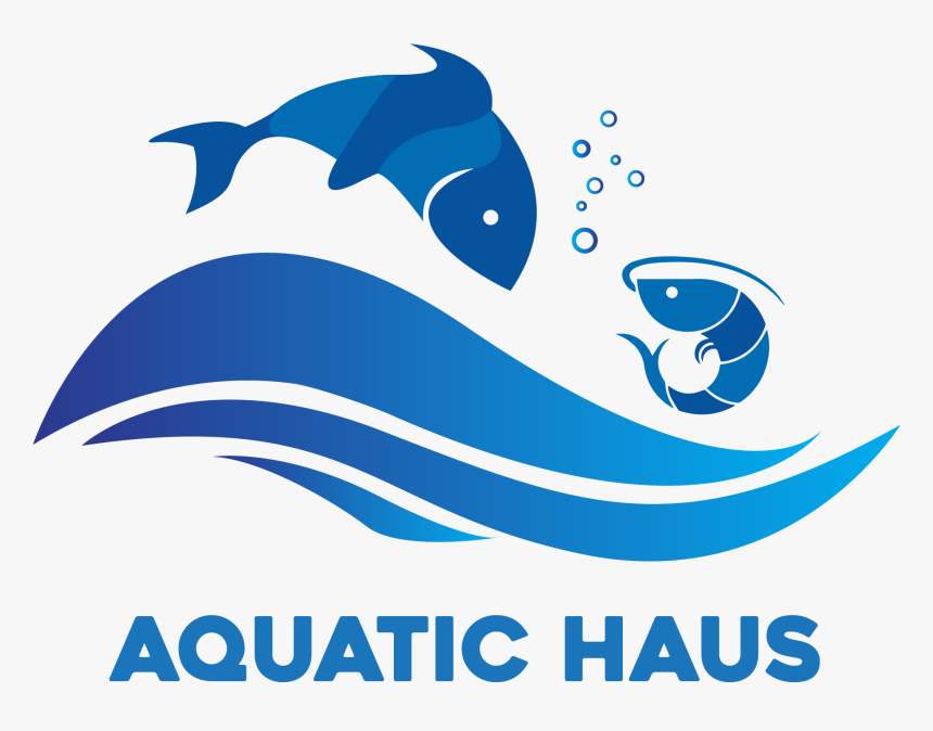 Aquatic Haus - Illustration, HD Png Download, Free Download