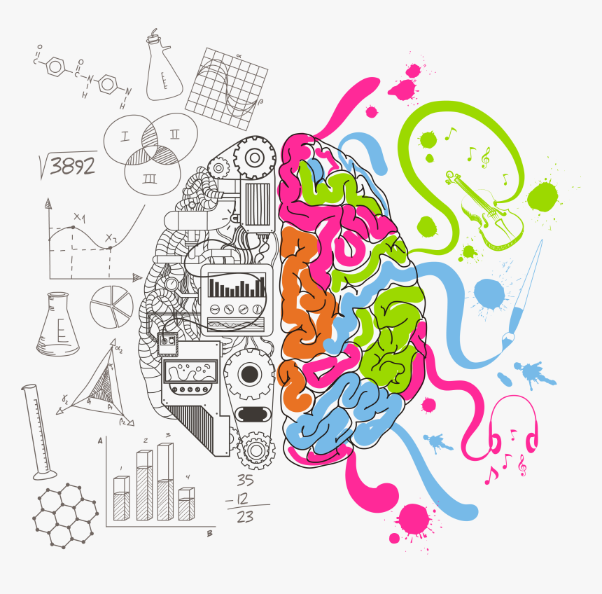 Creative Brain Png, Transparent Png, Free Download