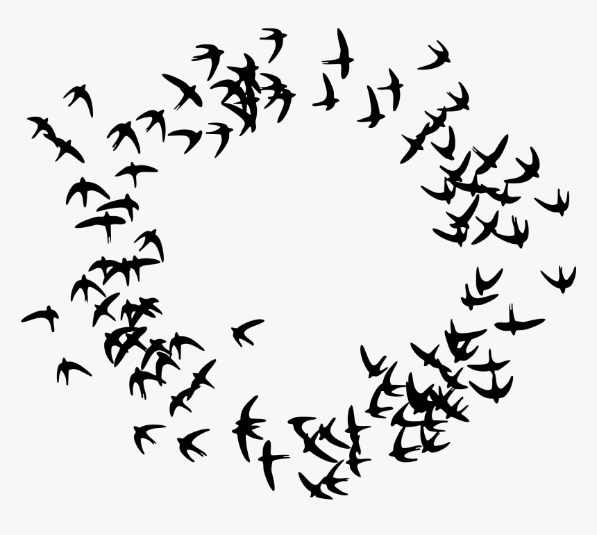 Birds Flying In A Circle - Particle Swarm Optimization Icon, HD Png Download, Free Download