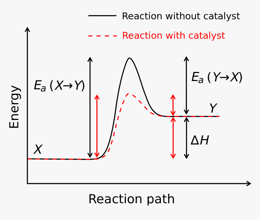 Enzyme Drawing Activation Energy - Negative Activation Energy Graph, HD Png Download, Free Download