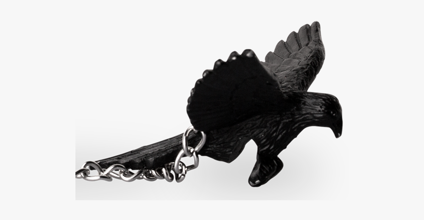 Fun Infuser Black Bird - Pendant, HD Png Download, Free Download