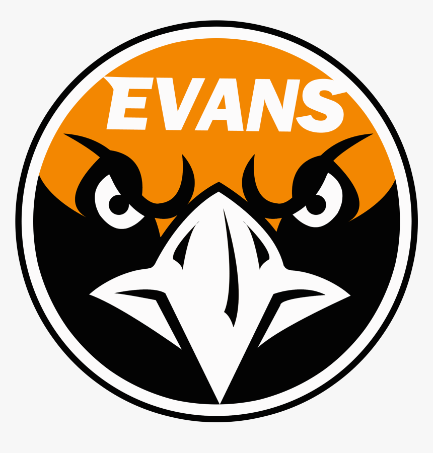 Image Of Eagle Head - Bloomington Evans, HD Png Download, Free Download