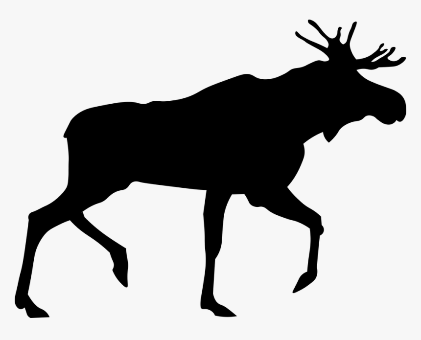 Moose, Elk Png - Moose Silhouette Png, Transparent Png, Free Download