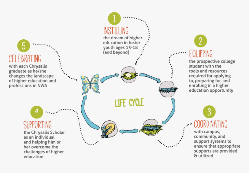 Diagram, HD Png Download, Free Download