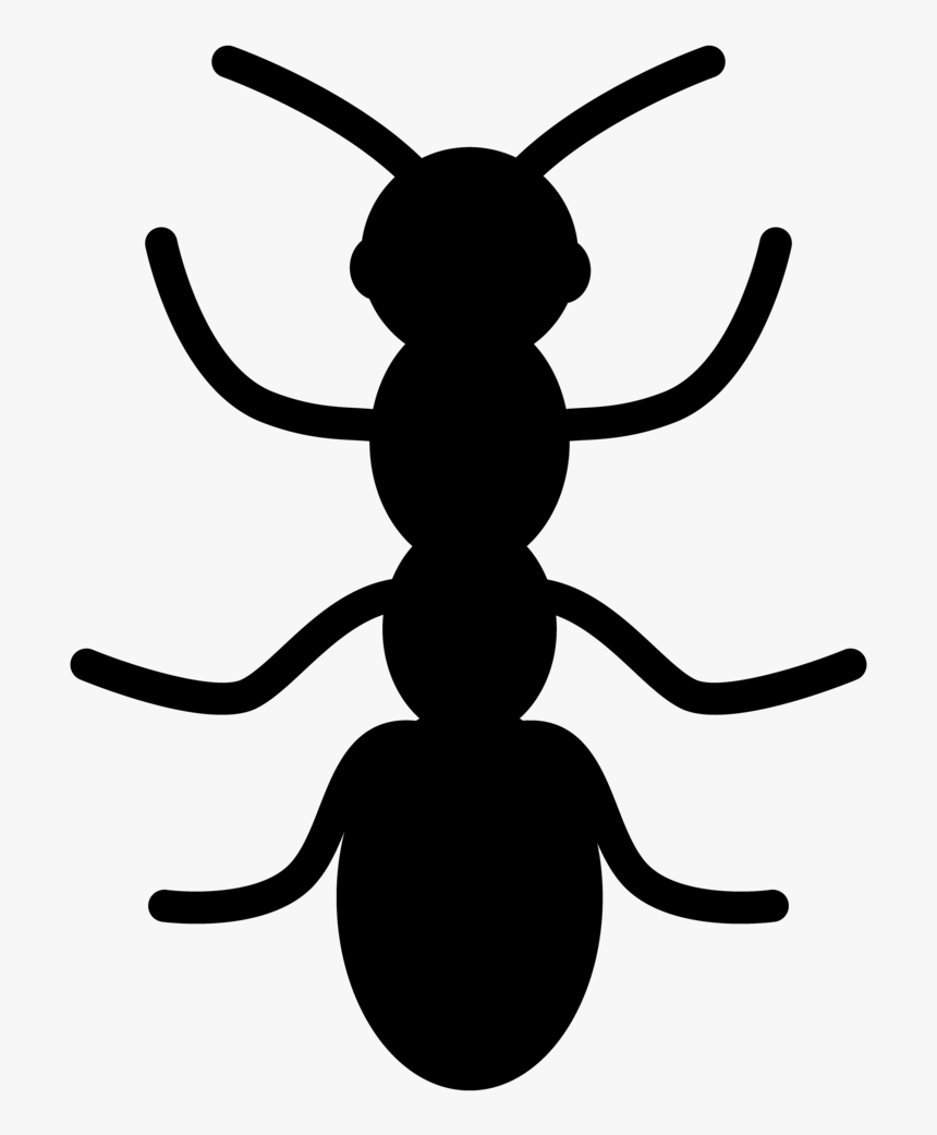 00360 Bugs-03 - Ant, HD Png Download, Free Download