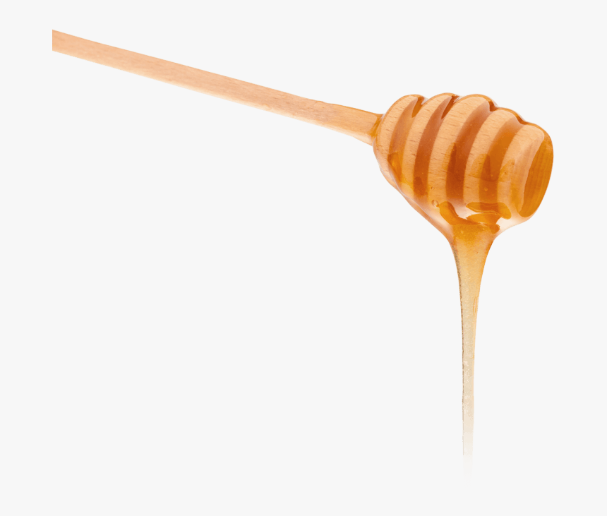 Honey With Wooden Spoon, HD Png Download, Free Download