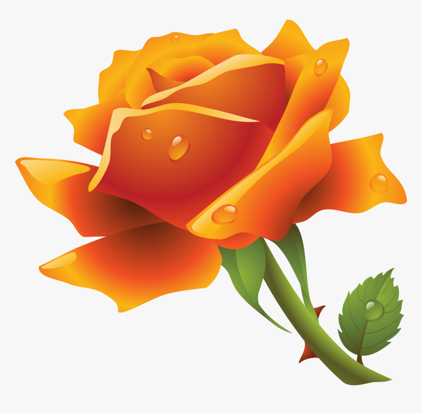 Thinking Of You Roses, HD Png Download, Free Download