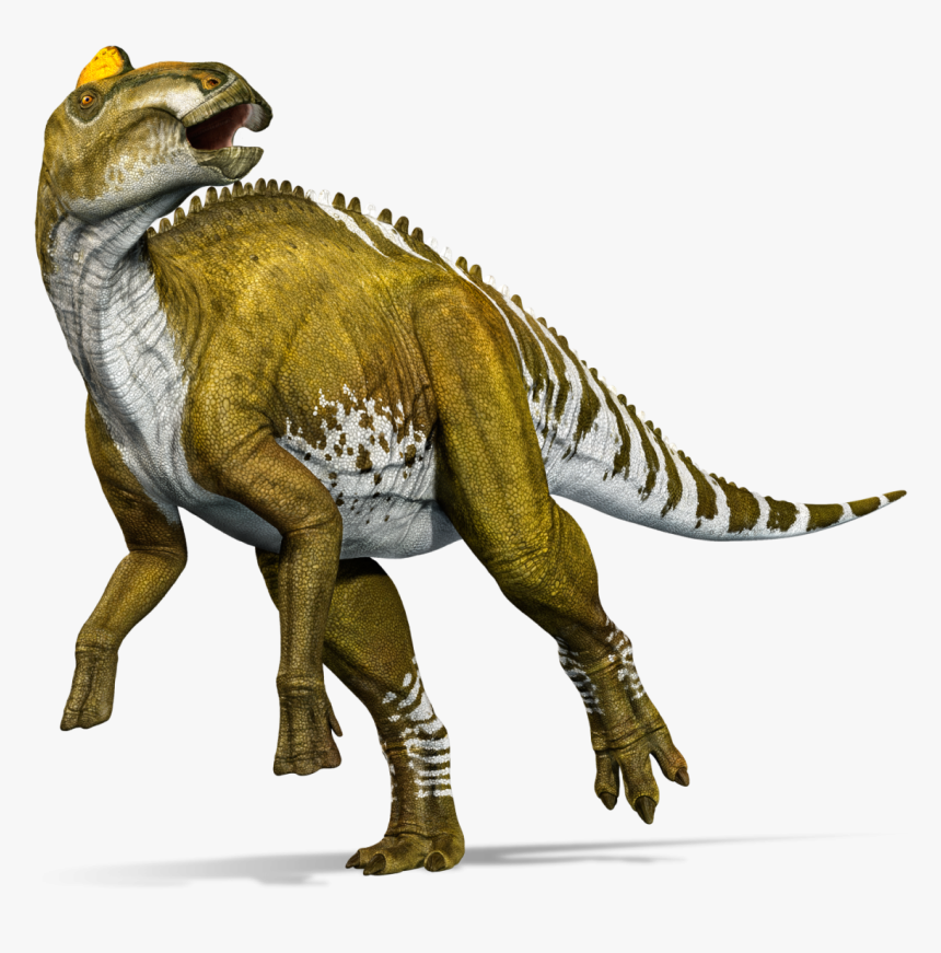 Will Edmontosaurus Appear In Jurassic World - Dinosaur Edmontosaurus, HD Png Download, Free Download