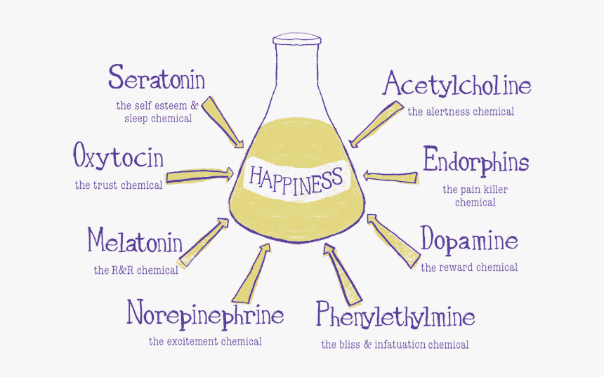 Happiness-chemicals - Dissociative Identity Disorder Treatment, HD Png Download, Free Download