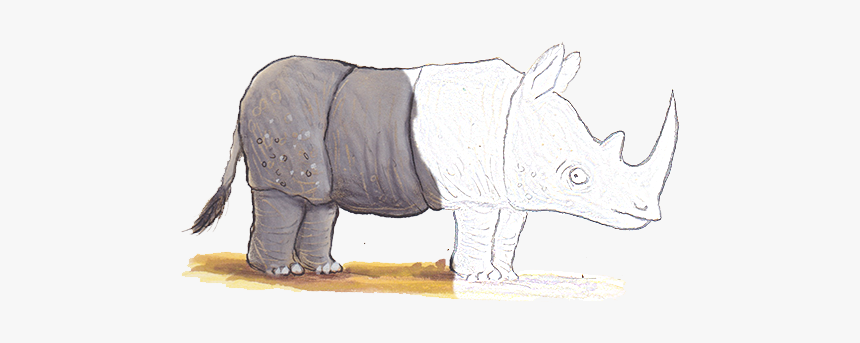 As Rhino 102ppi Drawing - Indian Rhinoceros, HD Png Download, Free Download
