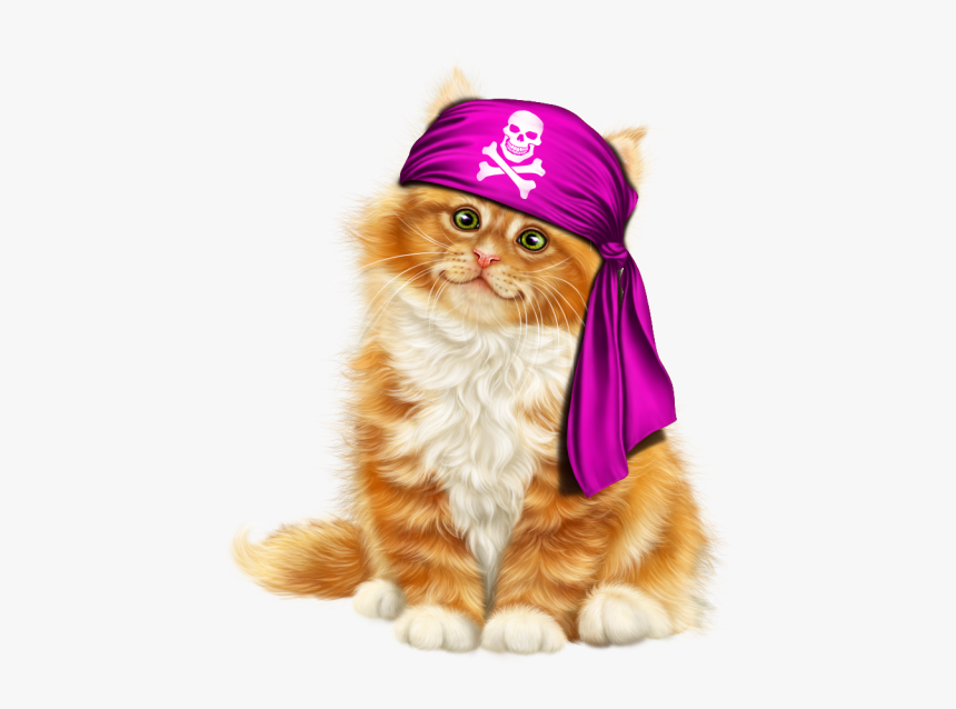 Kitten, HD Png Download, Free Download