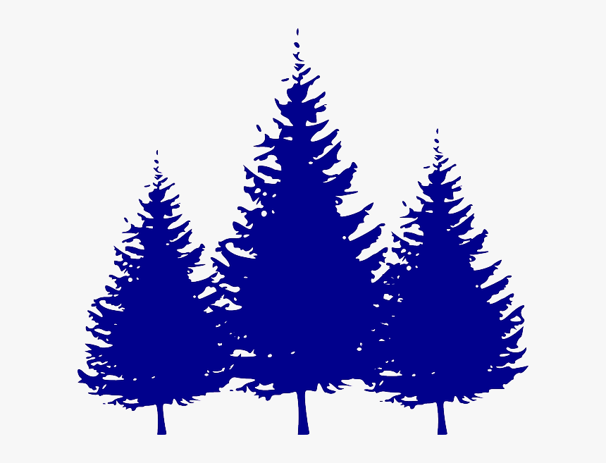 Transparent Evergreen Branch Png - Vector Pine Tree Png Silhouette, Png Download, Free Download