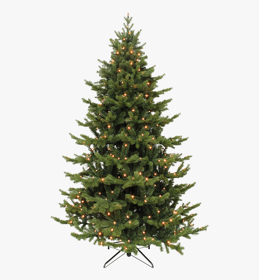 Tree Deluxe Green With Led Lighting, - Fresh Noble Christmas Tree, HD Png Download, Free Download