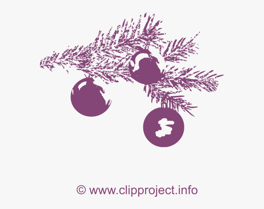 Fir-tree Branch Image - Illustration, HD Png Download, Free Download