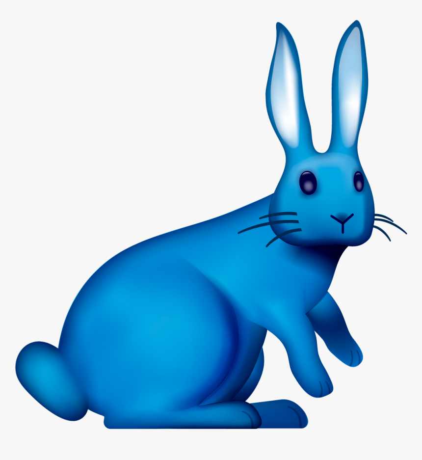 Domestic Rabbit, HD Png Download, Free Download