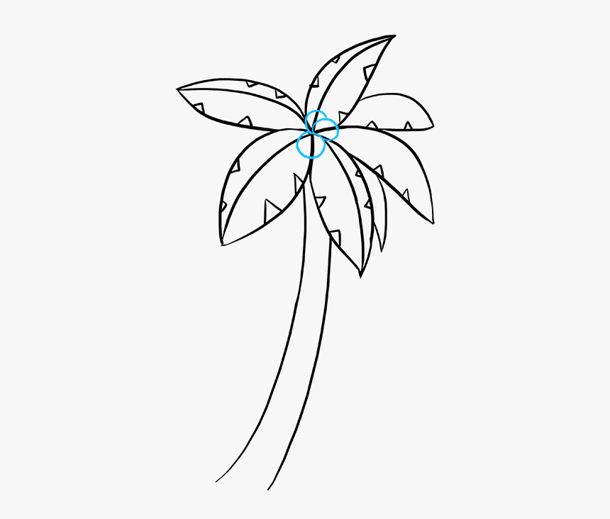 How To Draw Palm Tree - Easy Palm Trees Drawing, HD Png Download, Free Download