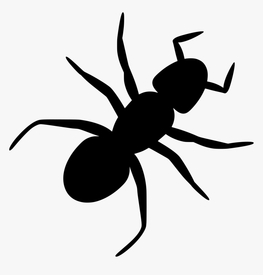 Ant Clip Art, HD Png Download, Free Download