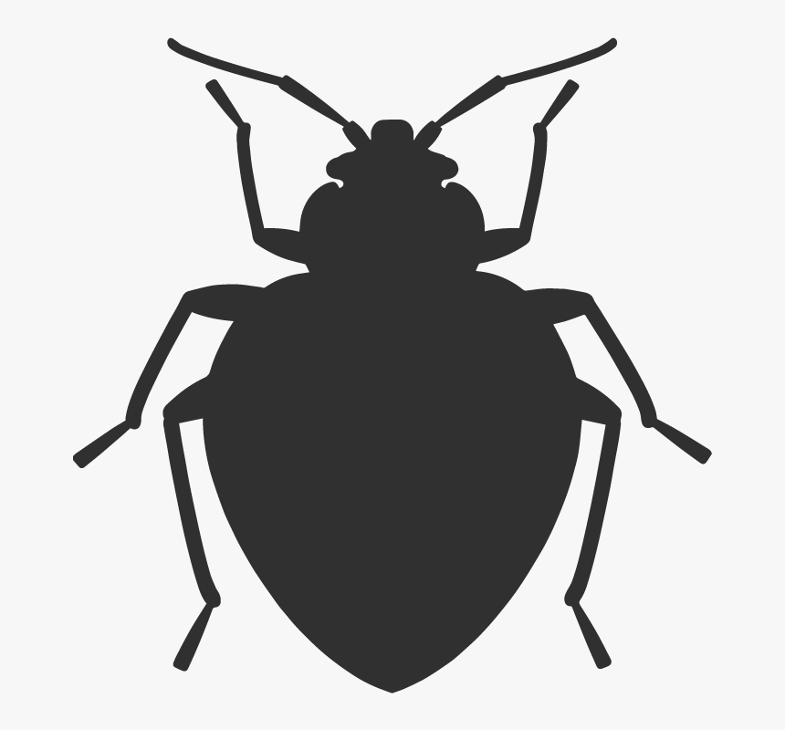 Bed Bug Vector, HD Png Download, Free Download