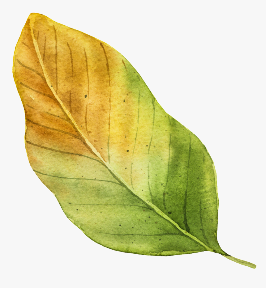 Yellow Autumn Leaf Vector - Tree, HD Png Download, Free Download