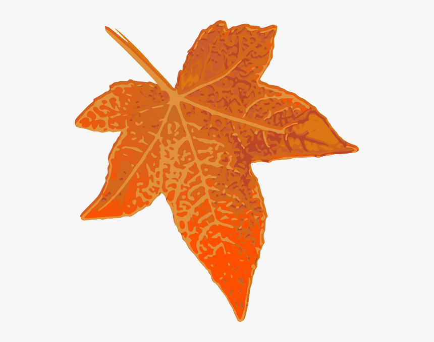 Large Fall Leaves Clipart, HD Png Download, Free Download