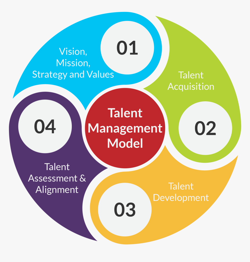 Integrated Talent Management Process, HD Png Download, Free Download