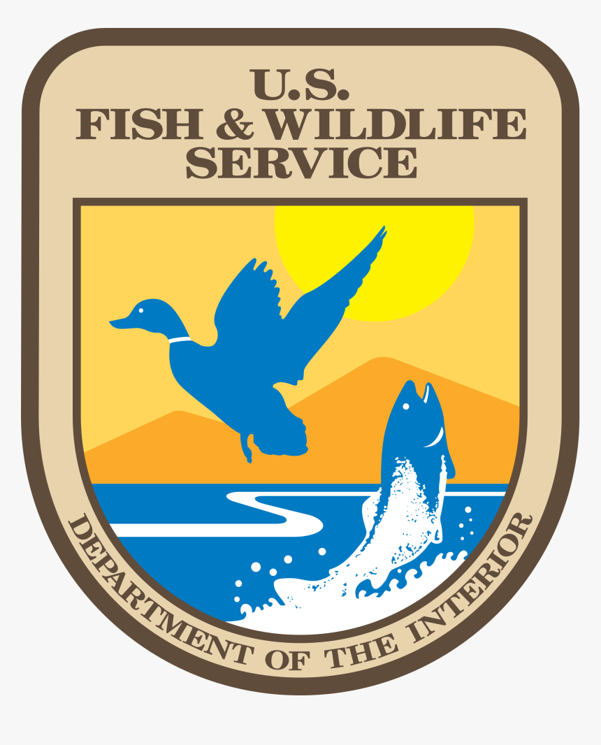 Fish And Wildlife Service - Us Fish And Wildlife Service Png, Transparent Png, Free Download