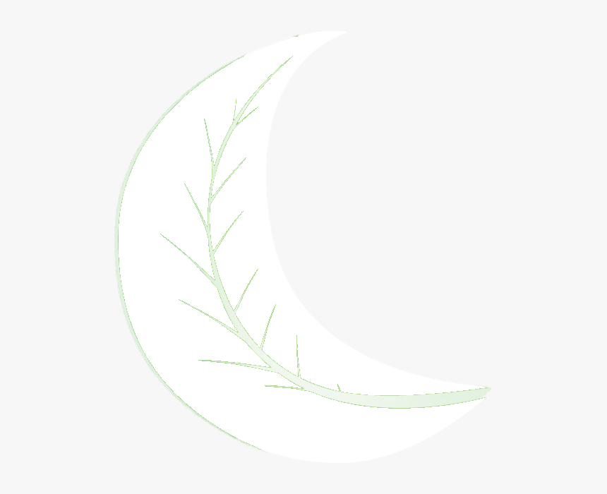 Moon, HD Png Download, Free Download