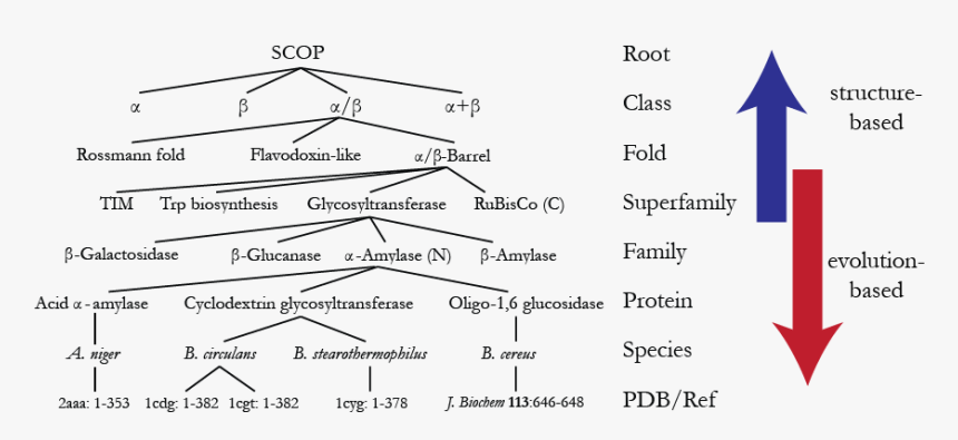 Diagram, HD Png Download, Free Download